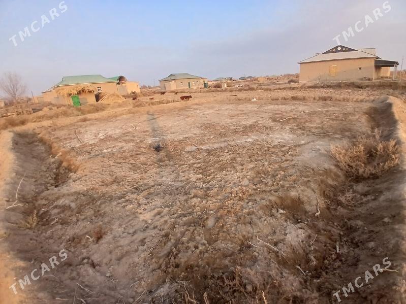 uchaska - Köneürgenç - img 3