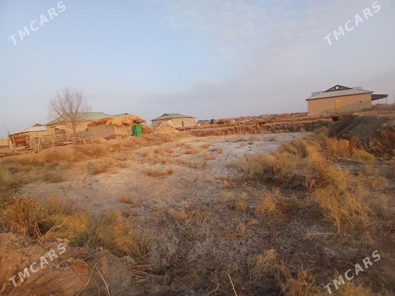 uchaska - Köneürgenç - img 9