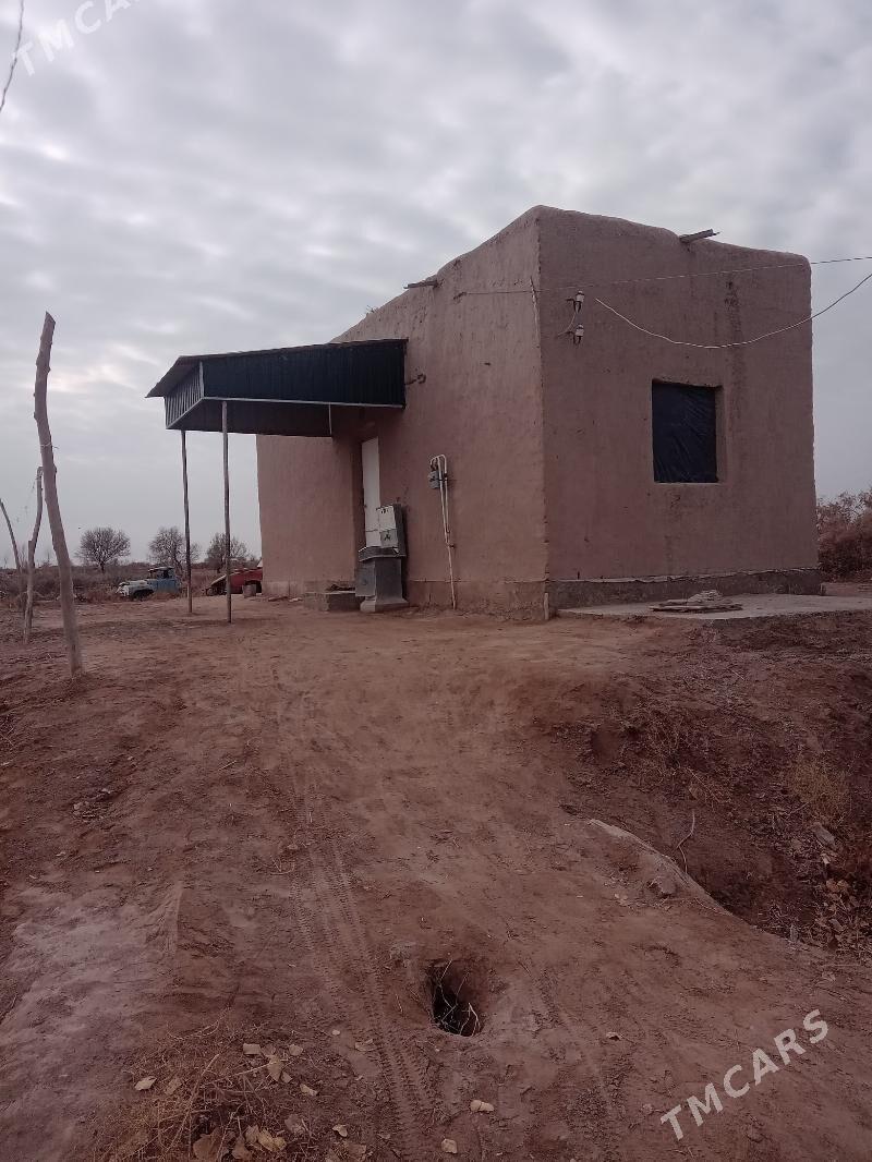 Jay Satylyar - етр. Туркменбаши - img 1