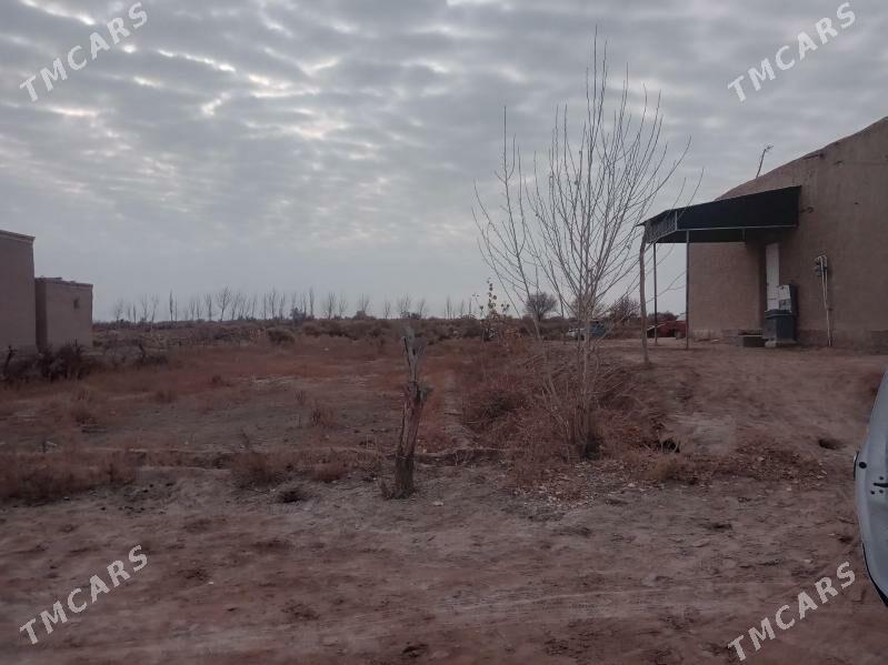 Jay Satylyar - етр. Туркменбаши - img 3