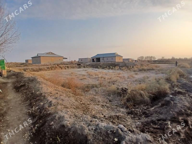 uchaska - Köneürgenç - img 8