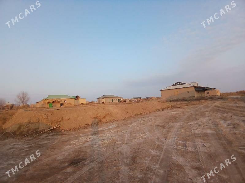 uchaska - Köneürgenç - img 1