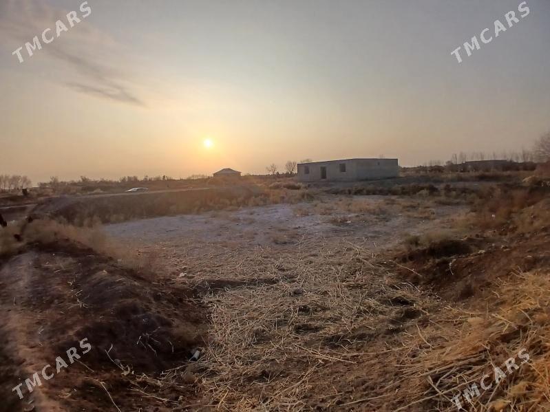 uchaska - Köneürgenç - img 7