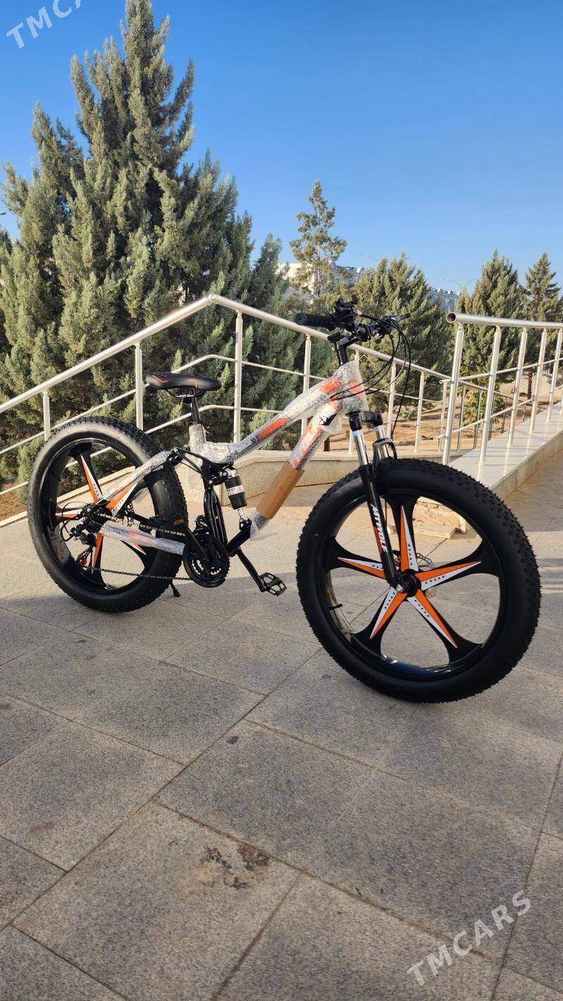 TIGIR MATOR MASYN PARTA KARSOK - Кëши - img 1