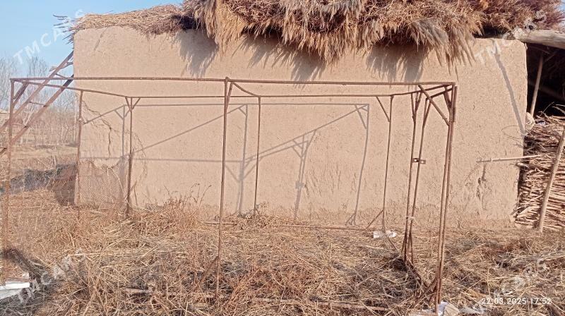 Towuk ketek - Köneürgenç - img 2