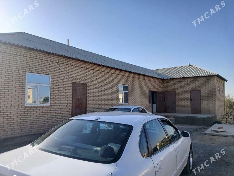 satlyk jay - Mary - img 2