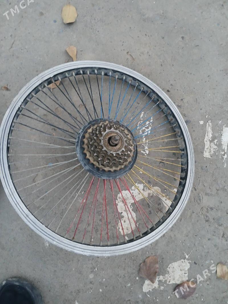 tigir zapjas - Кëши - img 4