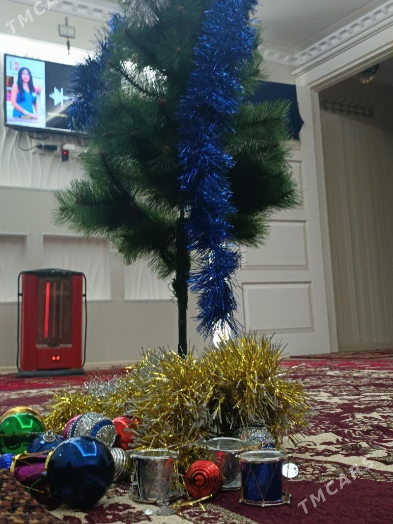 ARÇA (ÝOLKA) ARZAN - 30 mkr - img 3