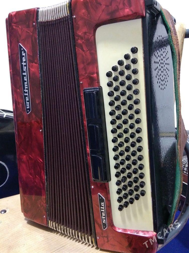 Akkordeon Akardeon - Халач - img 3