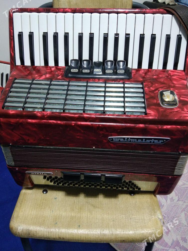 Akkordeon Akardeon - Халач - img 6