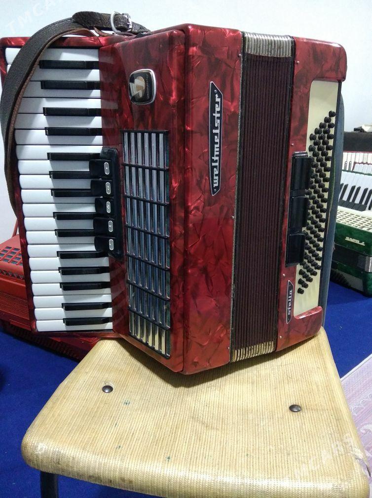 Akkordeon Akardeon - Халач - img 4