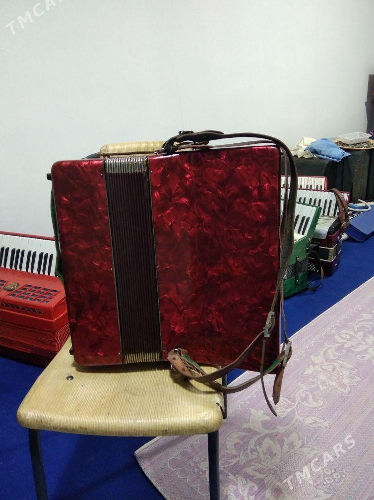 Akkordeon Akardeon - Халач - img 8