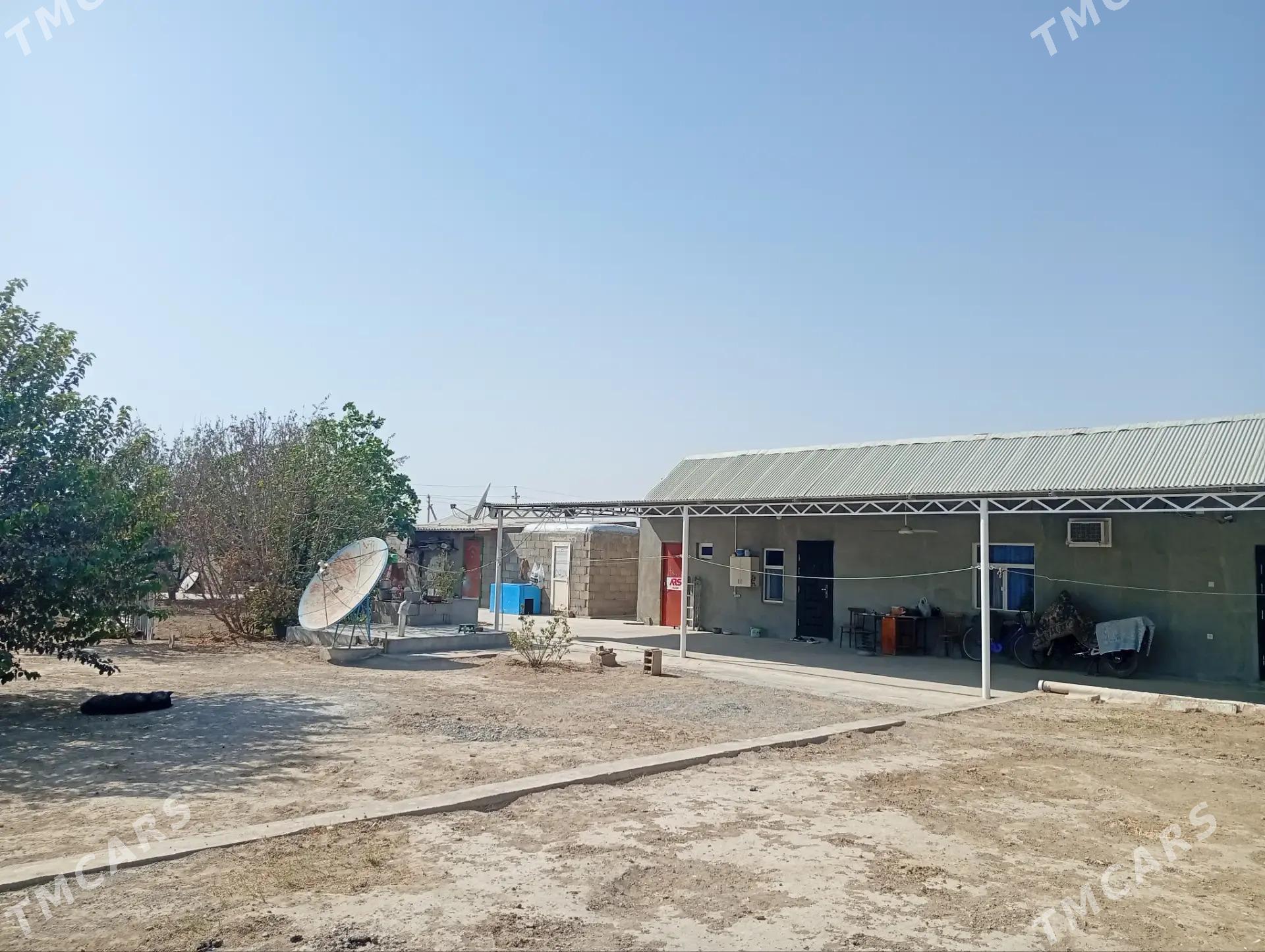 плановый дом - Яшлык - img 3