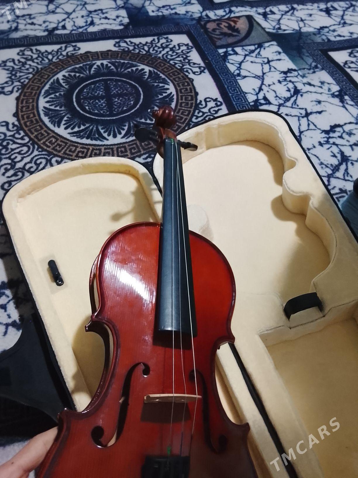 Skripka - Şabat etr. - img 6