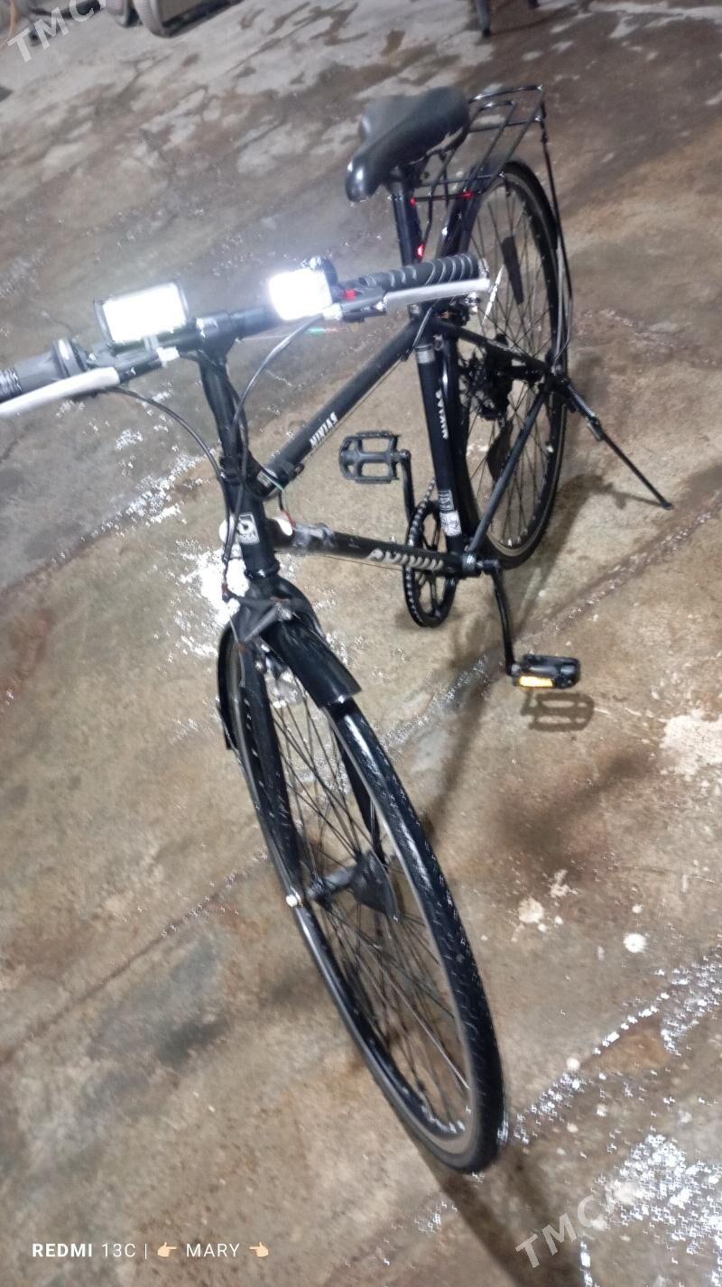 Welik 28 - Murgap - img 3