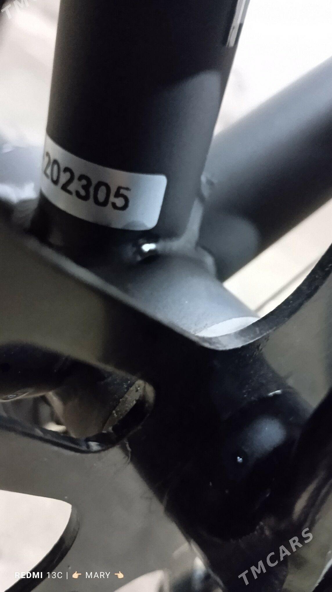 Welik 28 - Murgap - img 9