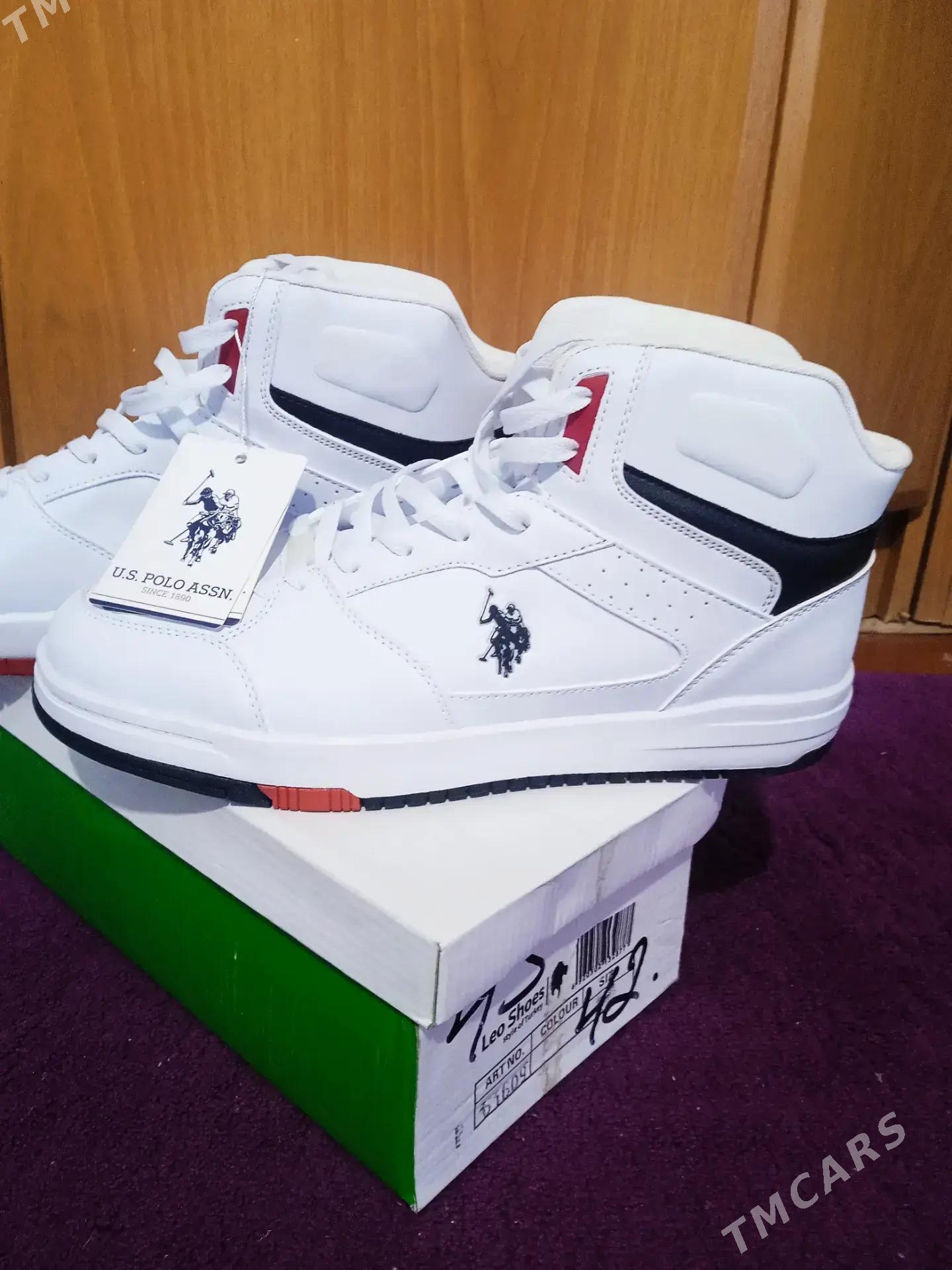 USA POLLO Krasowka - Aşgabat - img 2