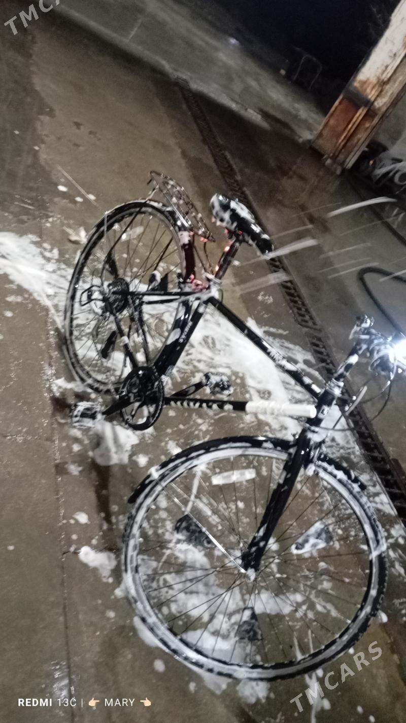 Welik 28 - Murgap - img 4