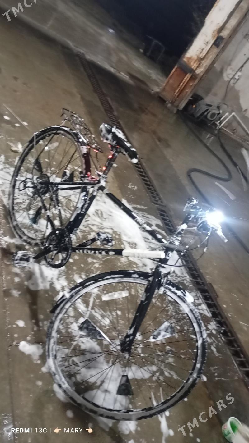 Welik 28 - Murgap - img 8