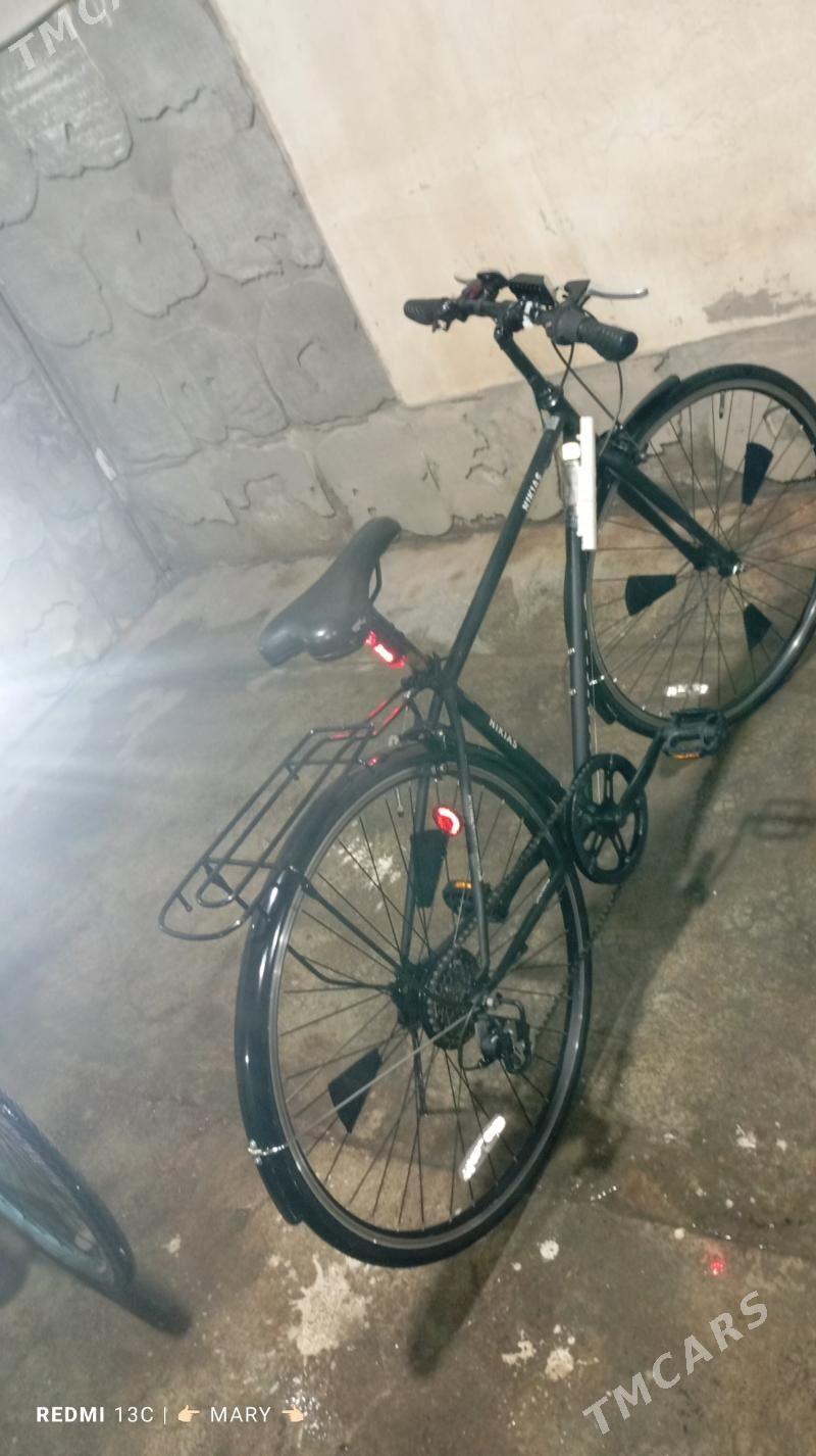 Welik 28 - Murgap - img 7