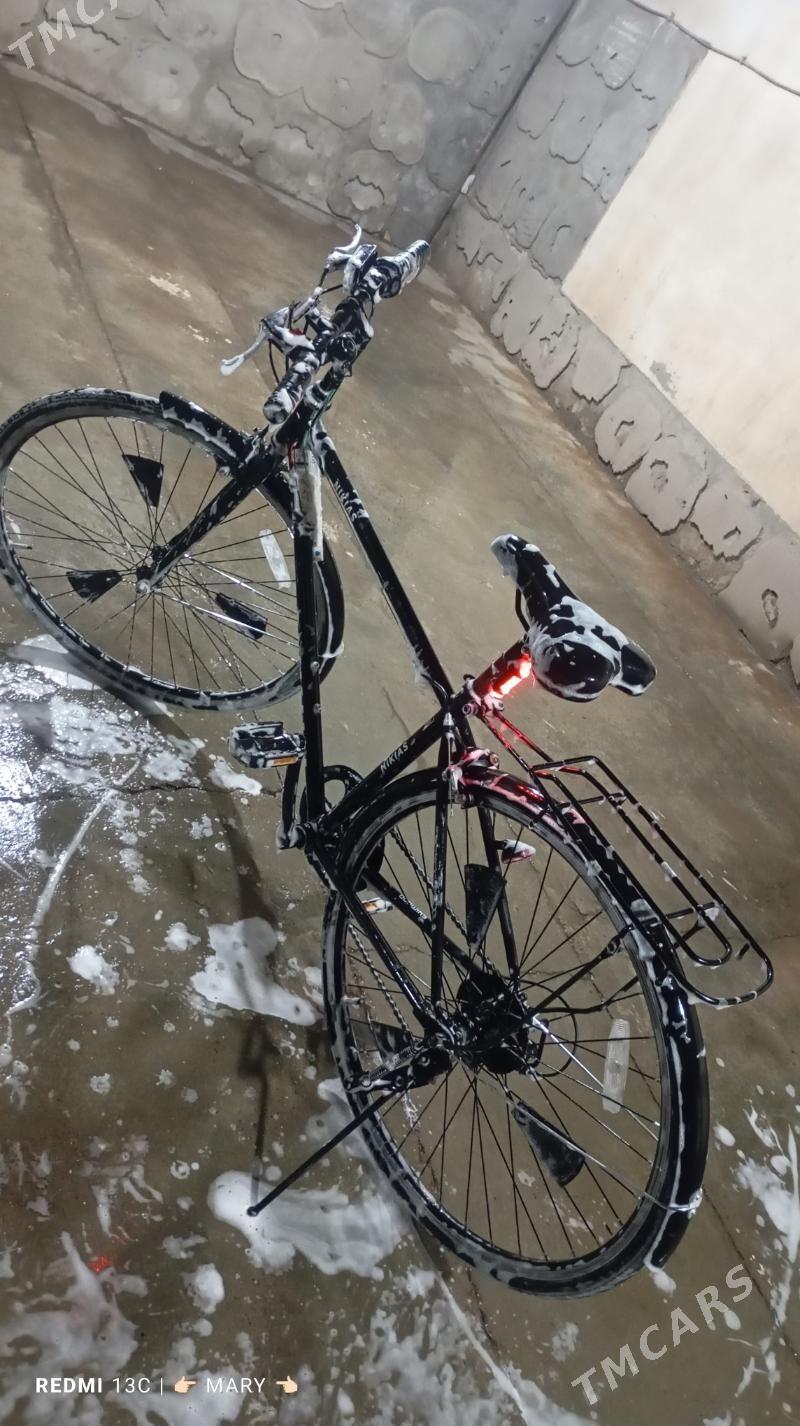 Welik 28 - Murgap - img 6