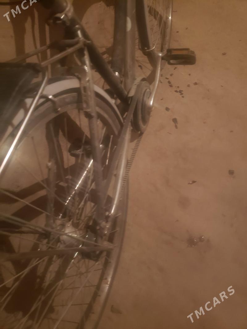 welasped - Дашогуз - img 4