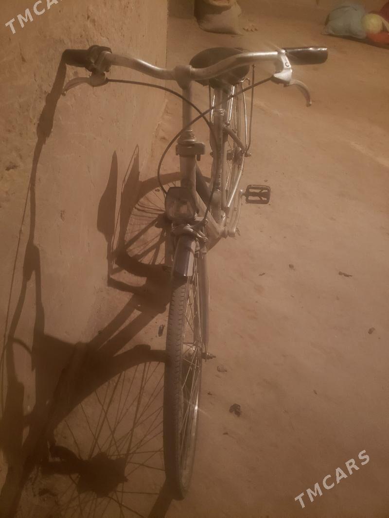 welasped - Дашогуз - img 3