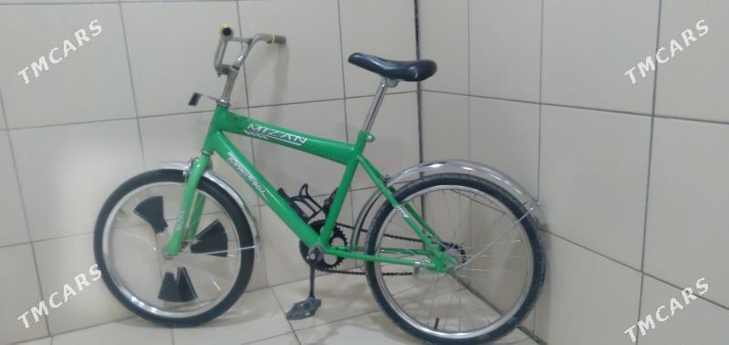 tigir - Podwoýski köç. (Bitarap Türkmenistan şaýoly) - img 2