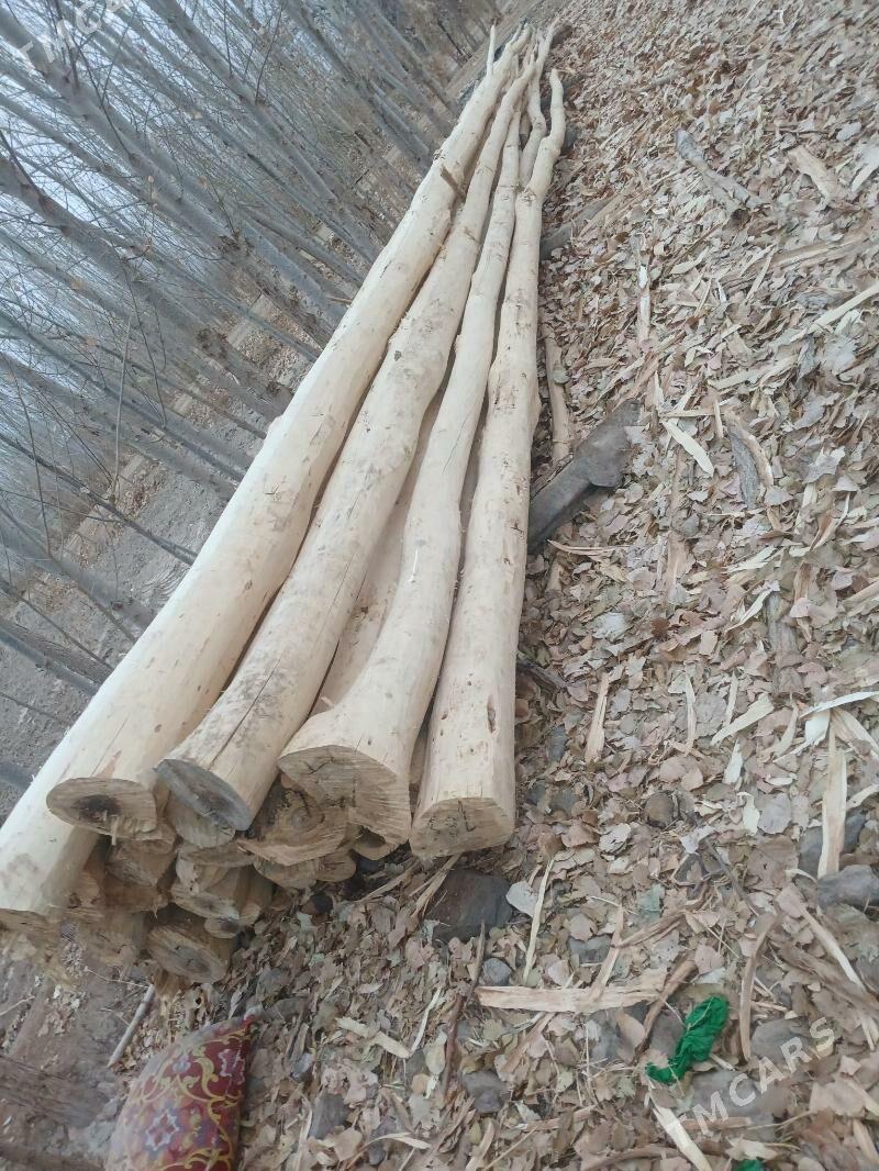 Agaç - Gubadag - img 2