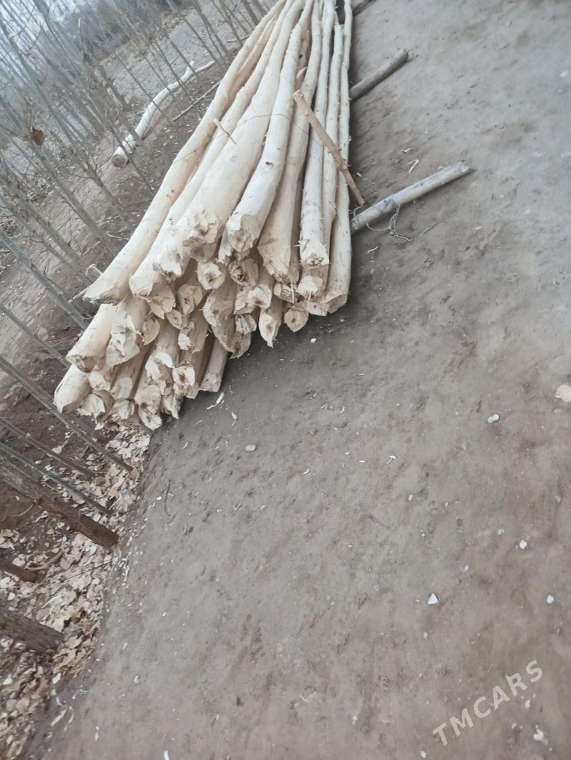 Agaç - Gubadag - img 4