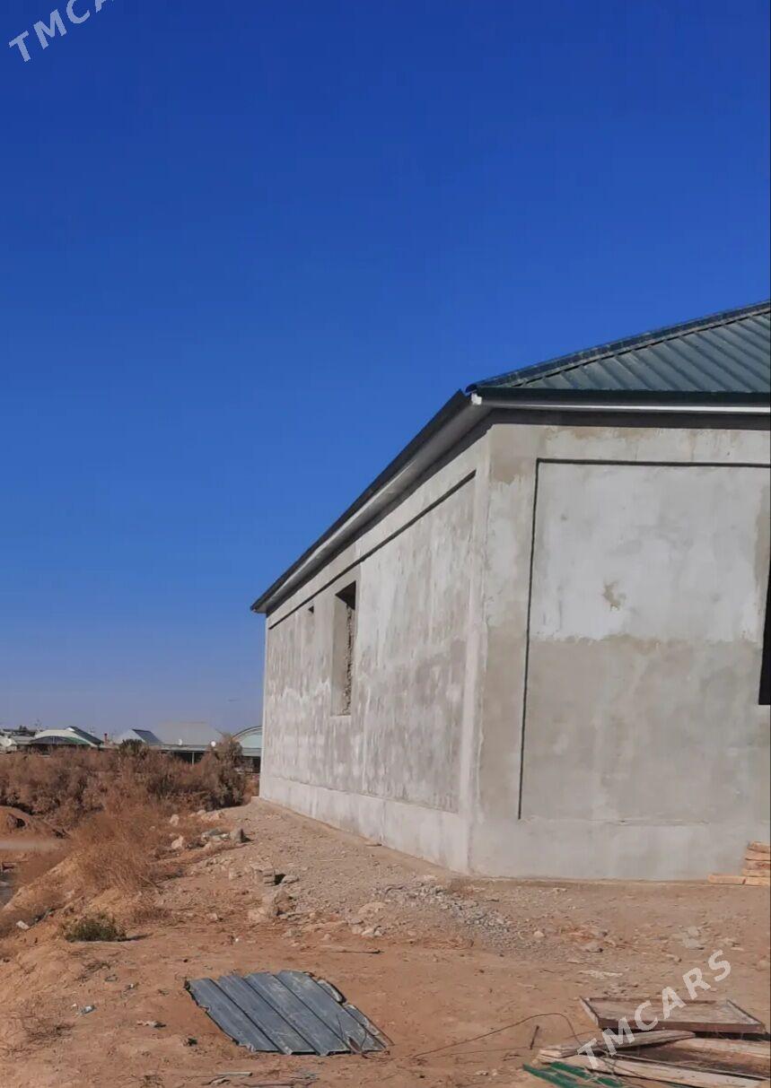 onaldy karopka - Ak bugdaý etraby - img 4