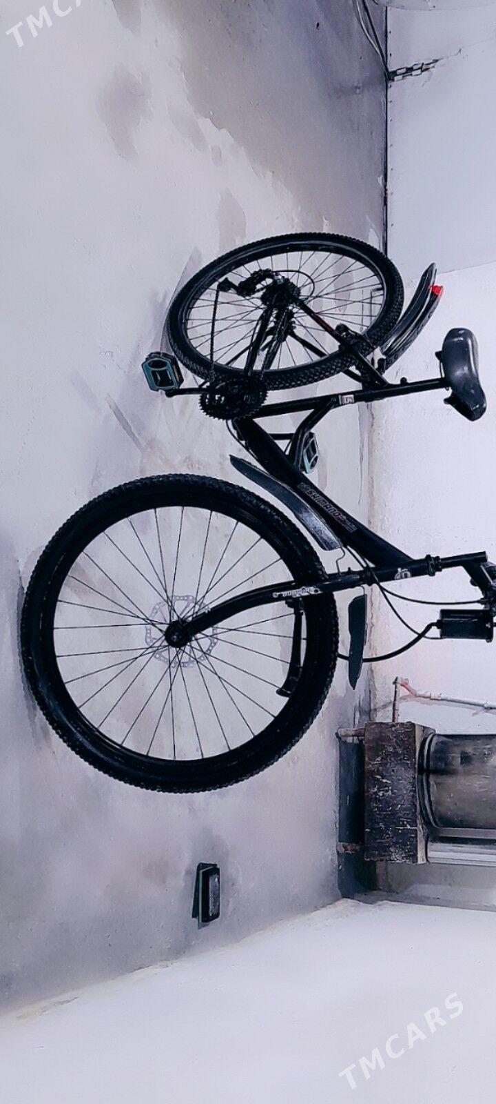 welseped - Balkanabat - img 5