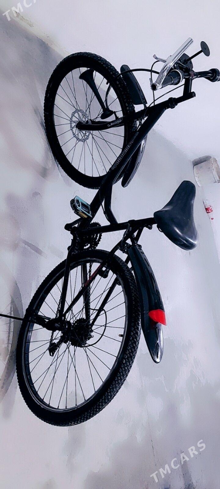 welseped - Balkanabat - img 4