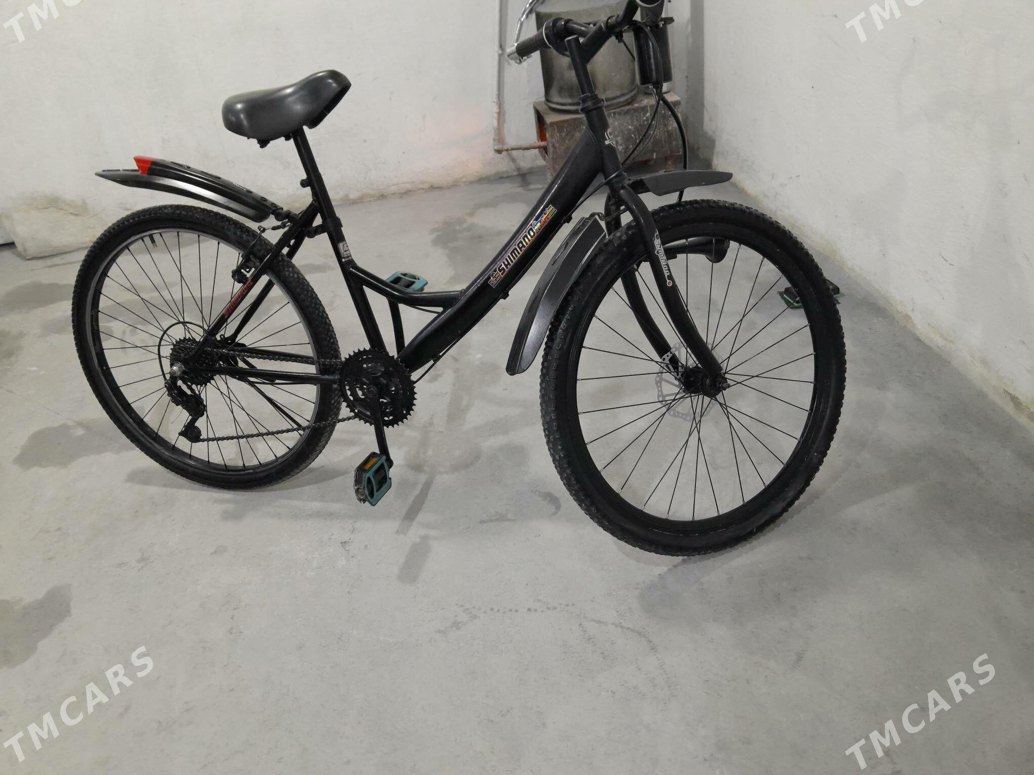 welseped - Balkanabat - img 6