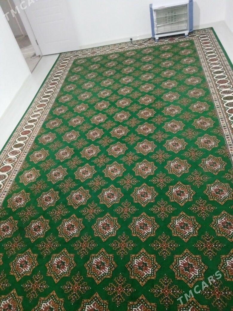 Haly - Balkanabat - img 2