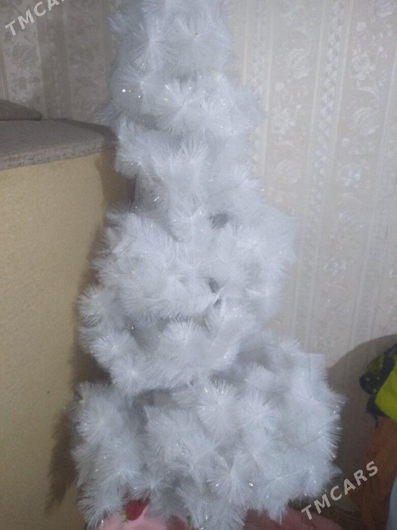 Елка белая пушистая - Balkanabat - img 2