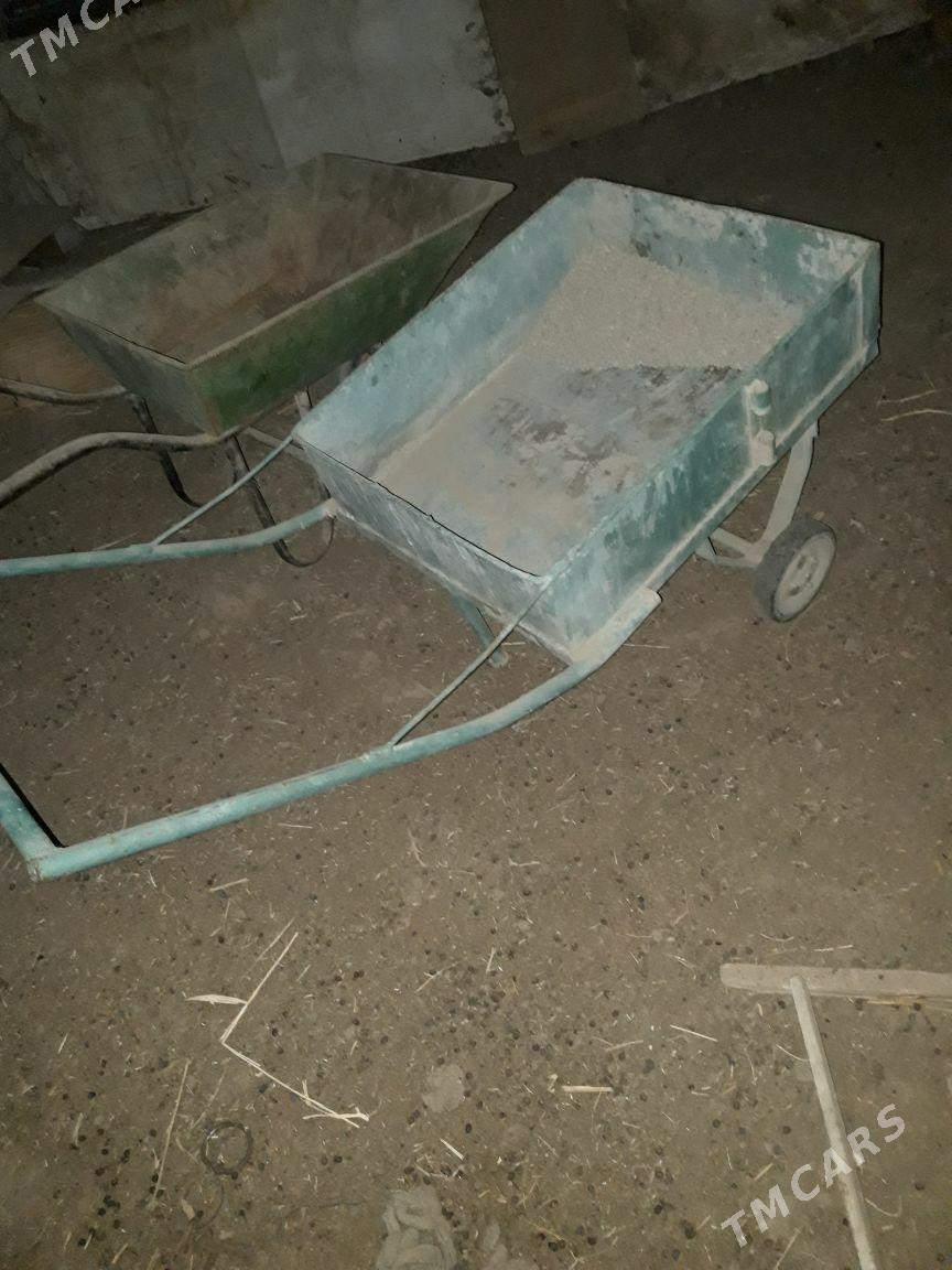 iki tigirli galtak - Sakarçäge - img 2