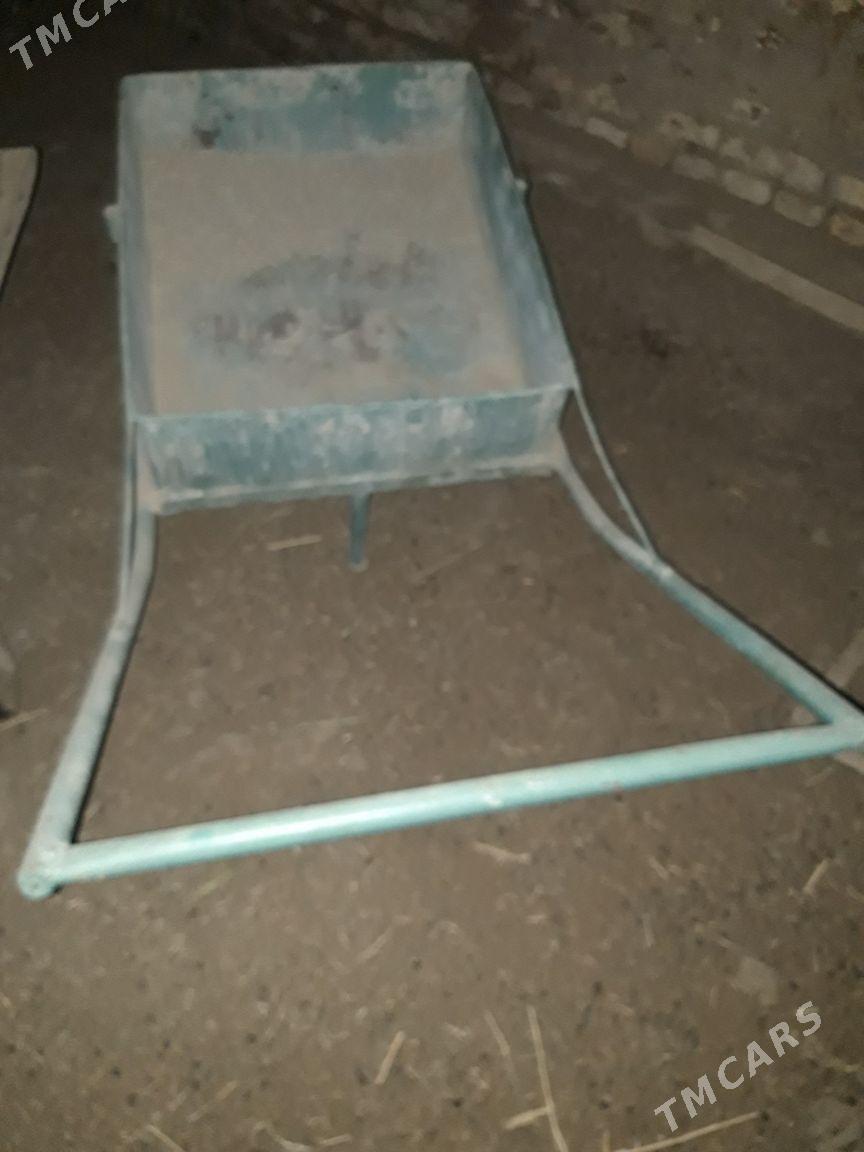 iki tigirli galtak - Sakarçäge - img 5