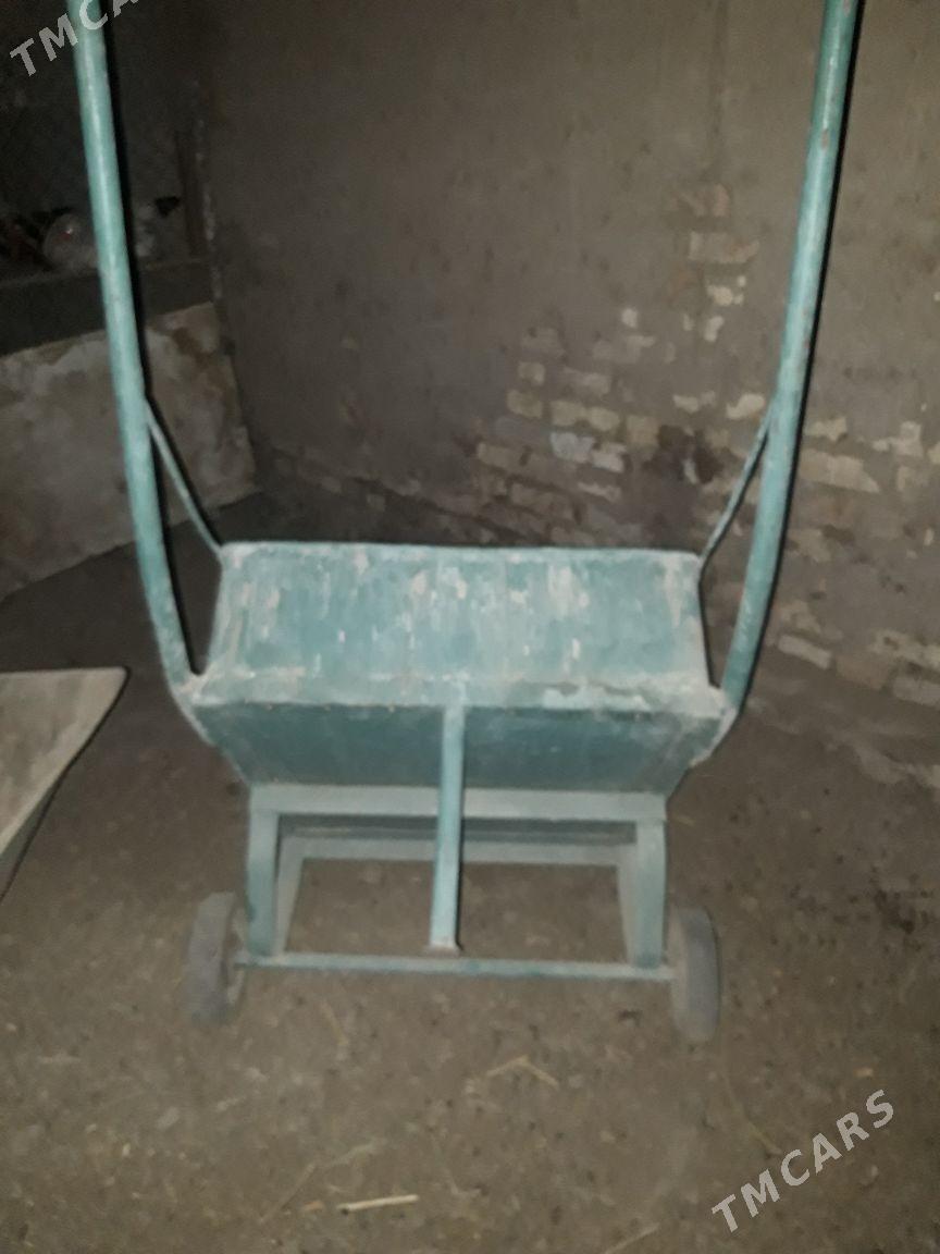 iki tigirli galtak - Sakarçäge - img 4