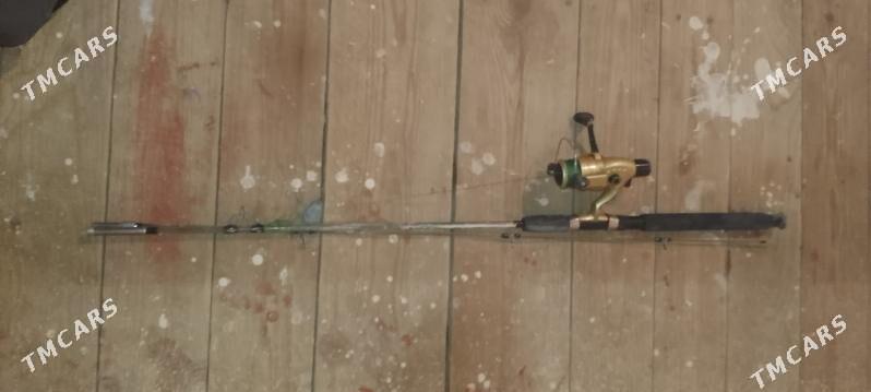 spilnik.garmak - етр. Туркменбаши - img 3