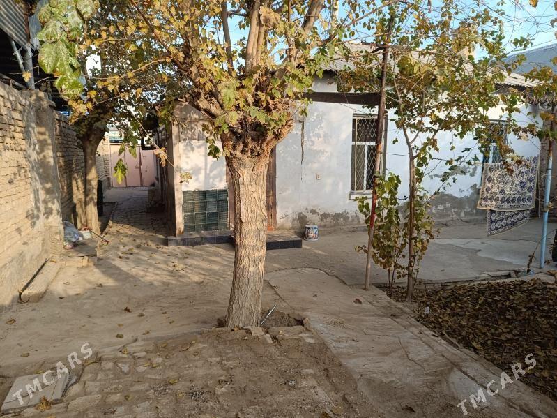 ş.Mary Seýidi köçe  hovly - Mary - img 4