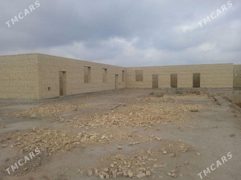 Çöl mellek - Saýat - img 5