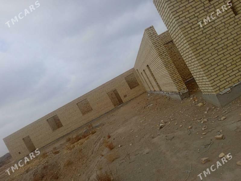 Çöl mellek - Saýat - img 3