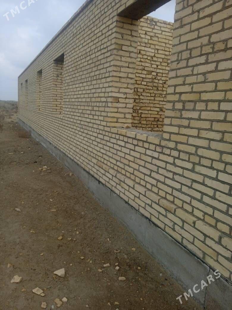 Çöl mellek - Saýat - img 4