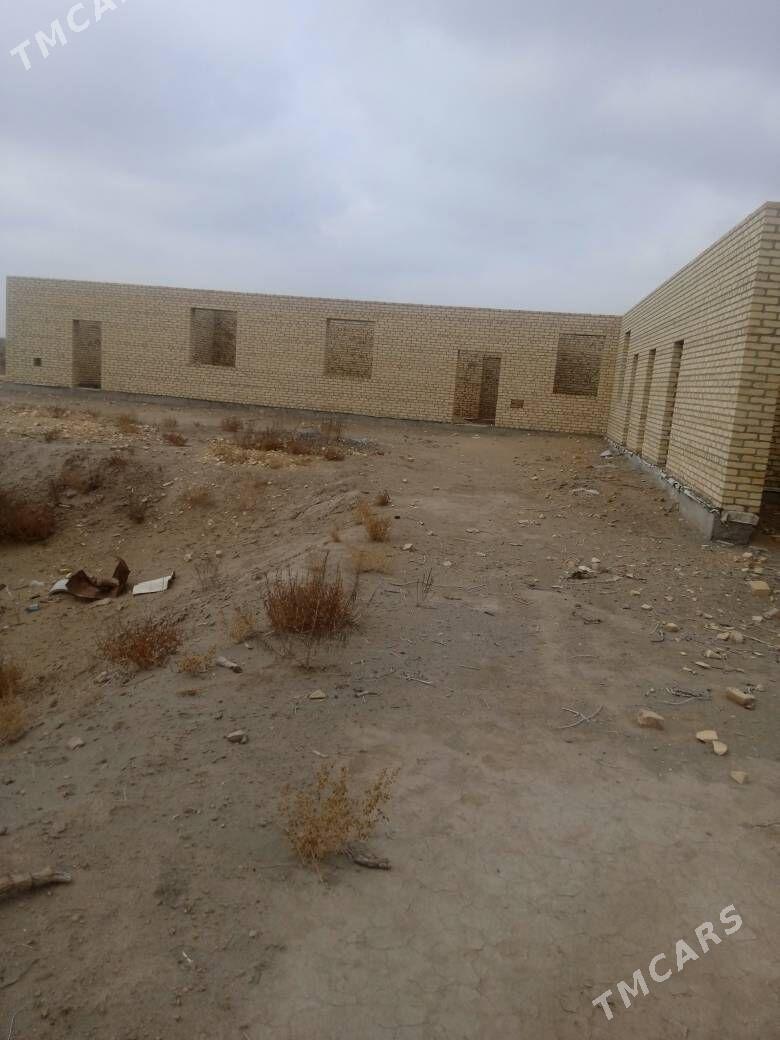 Çöl mellek - Saýat - img 2