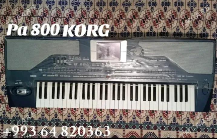 KORG Pa 800 - Aşgabat - img 2