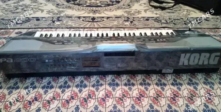 KORG Pa 800 - Aşgabat - img 3