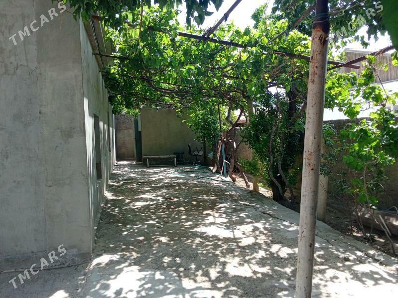 jangada plan - Türkmenbaşy - img 7