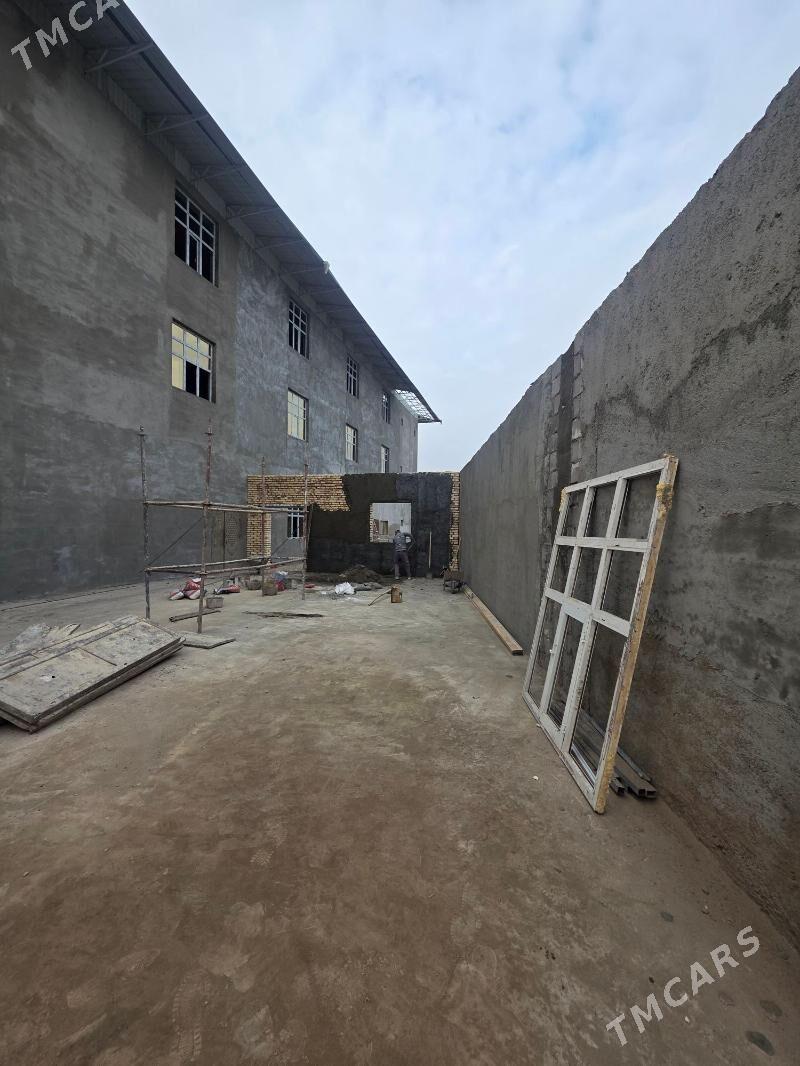 Маляр, Malýar suwag ussa gerek - Daşoguz - img 2