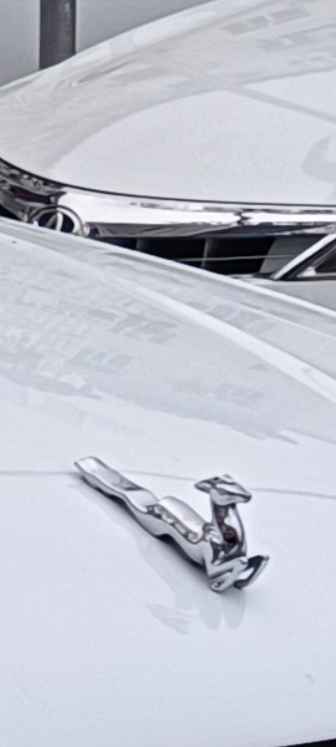 Keýik   Олень 10 000 TMT - Ашхабад - img 4